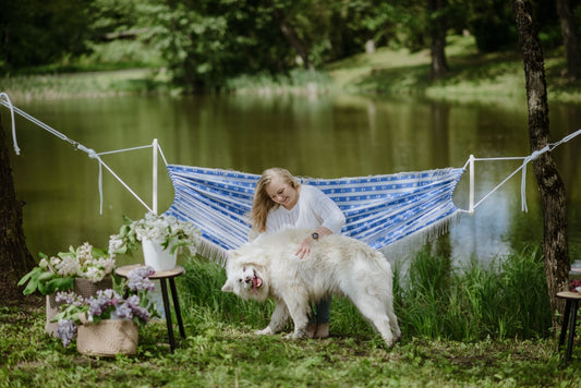 Gulimas Hamakas - MARINISTINIS - Supuosi